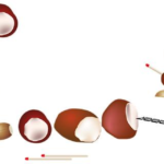 Engaging Sessions: Fun Drills for U8 Soccer Players 13 Engaging Sessions: Fun Drills for U8 Soccer Players