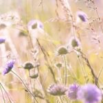 Turbocharge Your Warm-Up: Soccer Warm-Up Drills for U10 Unveiled!