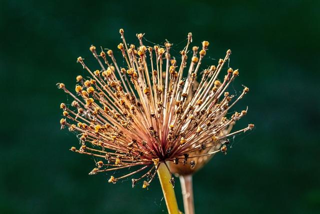 Early Development: Soccer Drills for 2-3 Year Olds