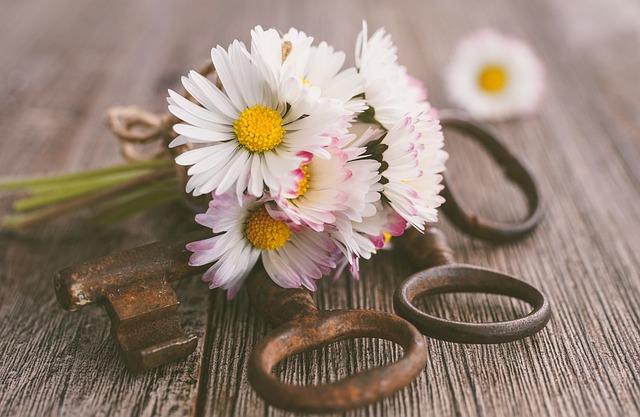 Youth Soccer Season Games: Stay in the Know! 2 Key Dates for Youth Soccer Season Games