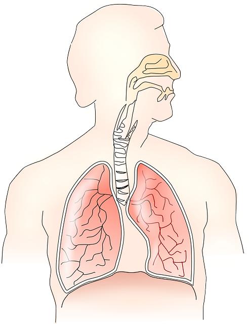 Health Concerns: Can I Play Soccer with a Cough? 4 - Respiratory Health: Exploring the Potential Consequences of Playing Soccer with a Cough