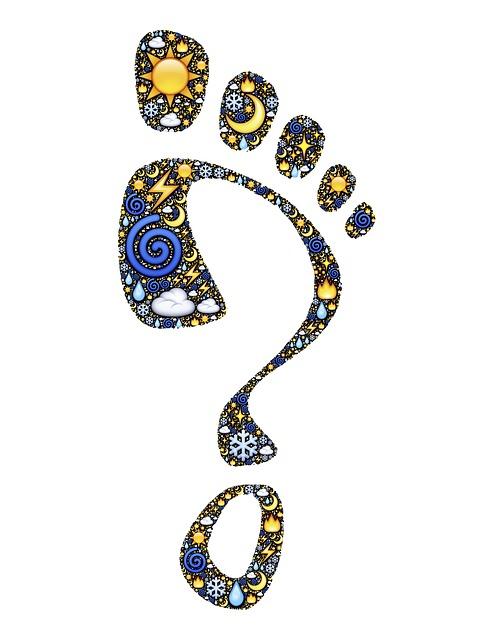 When Does the Soccer Season Start 2024? Future Season Start Date! 7 Envisioning the excitement and anticipation surrounding the start of the 2024 soccer season