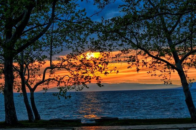 AM Soccer Club 2007: Building Champions Since '07! 6 Opportunities for Scholarships and College Recruitment