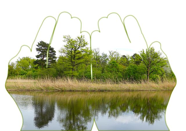 Explaining Soccer Positions: Tips for Coaches and Players! 10 Maintaining Flexibility and Adaptability within the Team Structure