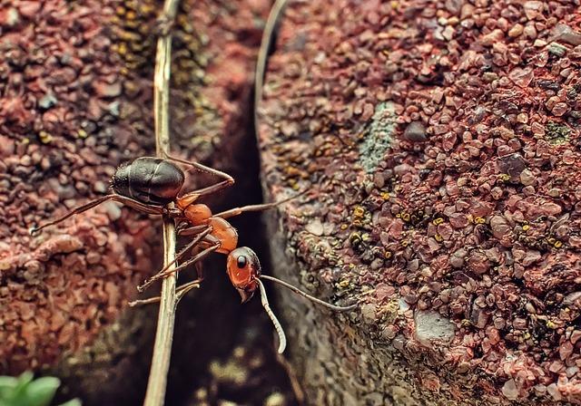 When is High School Soccer Season? High School League Schedule! 7 7. Overcoming Adversity: Dealing with Injuries and Setbacks during the High School Season
