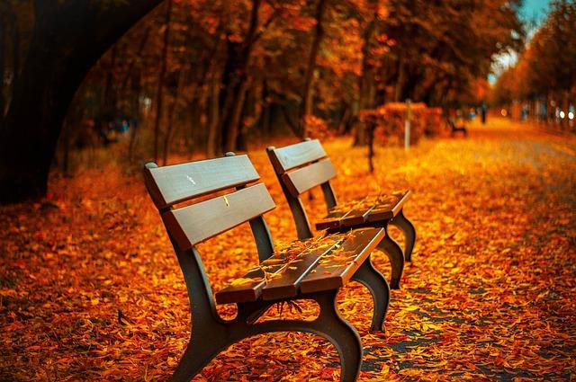 Health Concerns: Can I Play Soccer with a Cough? 3 - The Importance of Rest: Knowing When to Take a Break from Playing Soccer