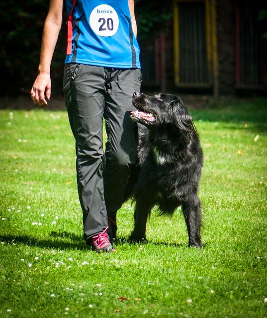 Learning Proper Footwork and Diving Techniques