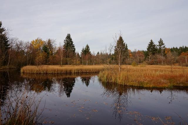 What Are the Benefits of Playing Soccer? Exploring the Advantages! 9 Life Lessons: Learning Discipline, Perseverance, Leadership, and Sportsmanship through Soccer