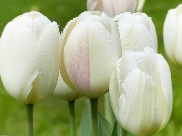 Soccer Spacing Drills: Understanding Spacing and Movement on the Field! 6 Maintaining Effective Spacing in Attack and Defense