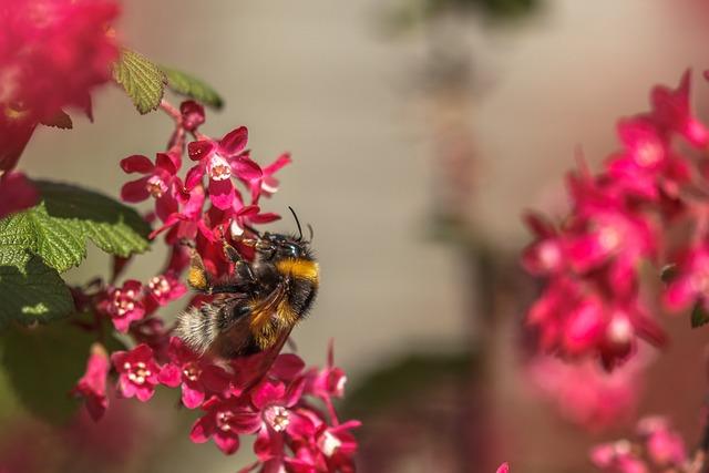 What Does a Soccer Player Do? Understanding Player Roles! 6 Winger: The Speedy Flank Player