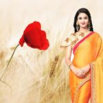 Exclusive Insights: Para Hills Knights Soccer Club Revealed 3 Exclusive Insights: Para Hills Knights Soccer Club Revealed