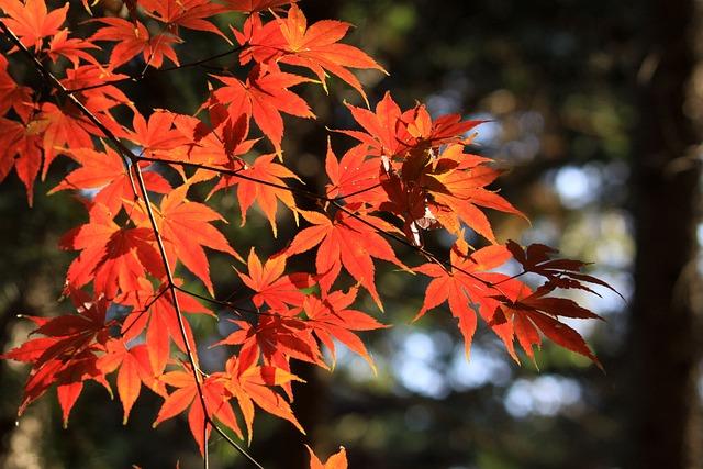 When Does Soccer Season End? Don't Miss the Finale! 9 Preparing for Off-Season: Tips and Recommendations