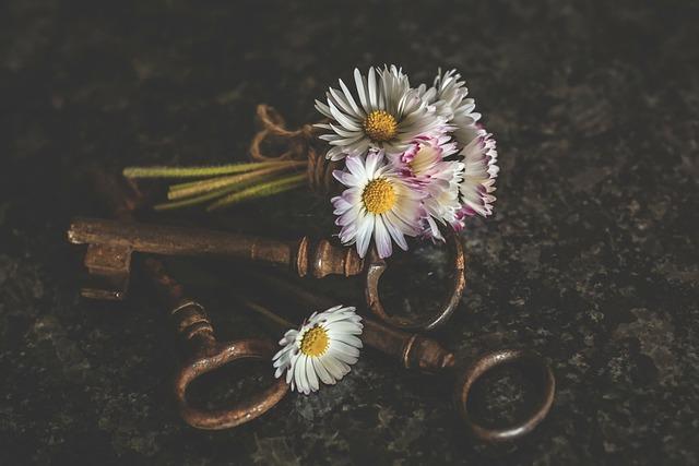 How Many Days Is Soccer Season? Find Out Now! 6 Key Dates to Keep in Mind During Soccer Season