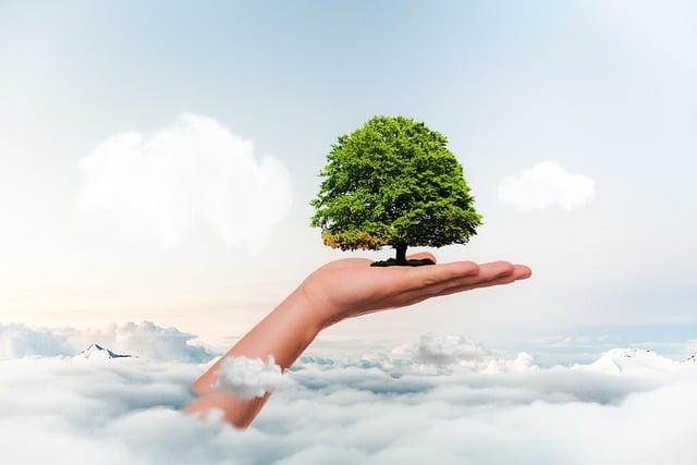 Para Hills West Soccer Club: Where Australian Football Finds Its Home! 8 - Future Growth: Plans and Initiatives to Ensure Long-Term Success for the Club