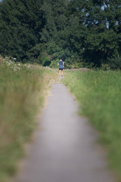 A Soccer Player Kicks a Ball Downfield: Exploring Long-Distance Passing! 6 - The impact of field conditions on the effectiveness of a downfield pass