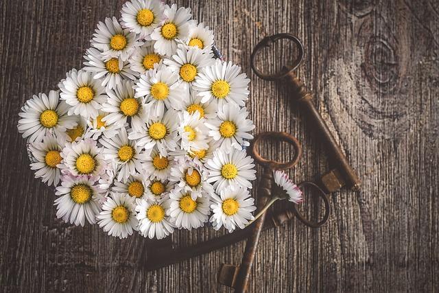 When is Women's College Soccer Season? Women's College League Calendar! 3 Key dates and milestones in the women's college soccer season calendar