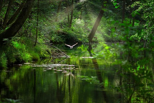 Soccer Clubs in Tampa Florida: Where Soccer Thrives in the Sunshine State! 5 Expanding Opportunities for Women's Soccer in Tampa