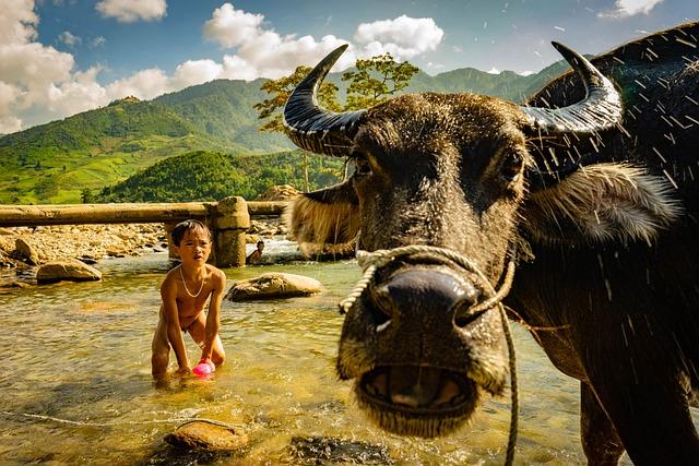 Top-Tier Coaching Staff⁢ Elevates Greensboro Soccer Clubs to ⁤National Recognition