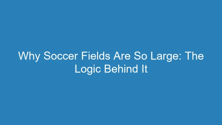 Why Soccer Fields Are So Large: The Logic Behind It