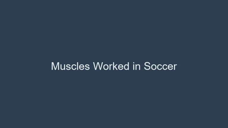 Muscles Worked in Soccer: Building Strength and Agility
