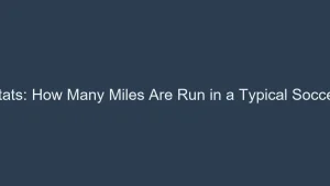 Soccer Stats: How Many Miles Are Run in a Typical Soccer Game? 24 img 6a3e64706117f