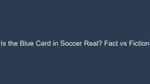 Is the Blue Card in Soccer Real? Separating Fact from Fiction 5 img 6a3e672e836d0