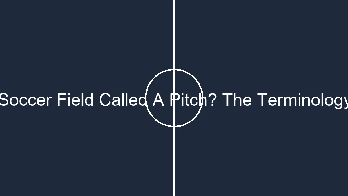 tmp placeholder pitch